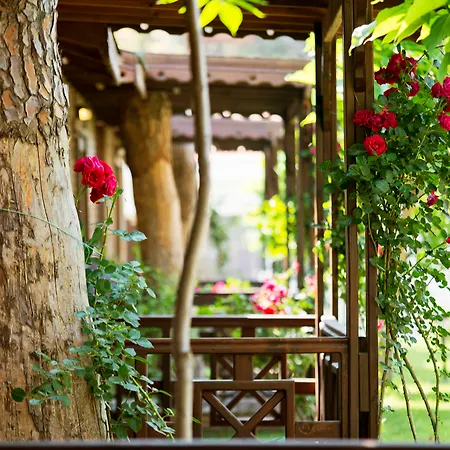 Hotel Flora Garden